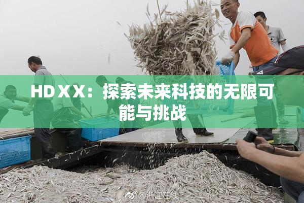 HDⅩX：探索未来科技的无限可能与挑战