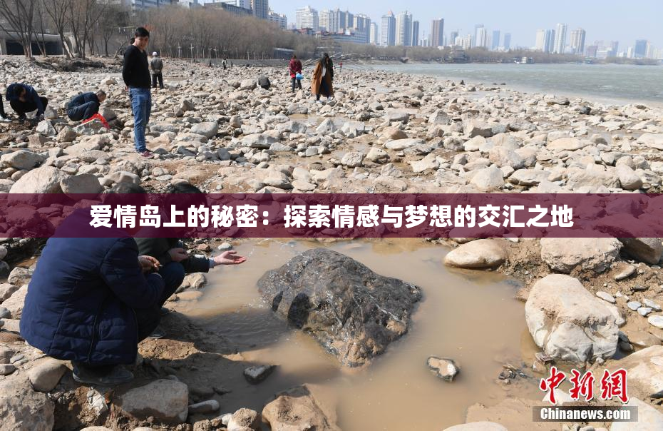 爱情岛上的秘密：探索情感与梦想的交汇之地