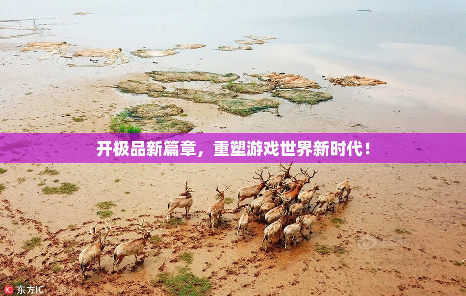 开极品新篇章，重塑游戏世界新时代！