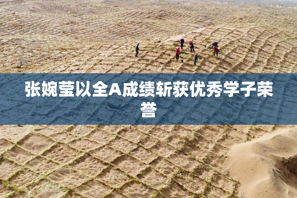 张婉莹以全A成绩斩获优秀学子荣誉