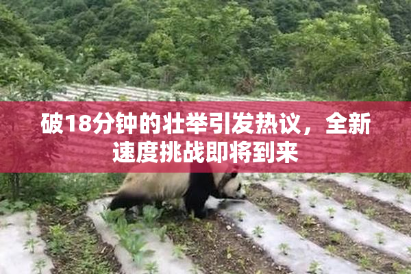 破18分钟的壮举引发热议，全新速度挑战即将到来