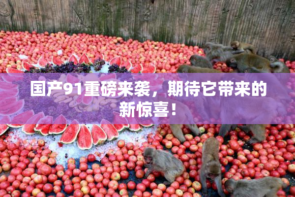 国产91重磅来袭，期待它带来的新惊喜！