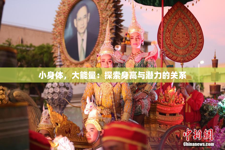 小身体，大能量：探索身高与潜力的关系