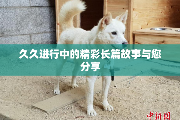 久久进行中的精彩长篇故事与您分享