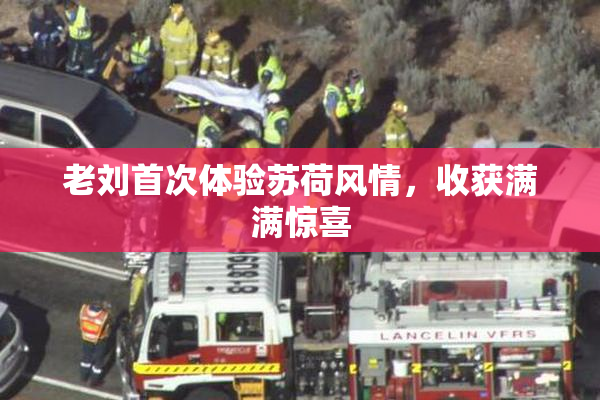 老刘首次体验苏荷风情，收获满满惊喜