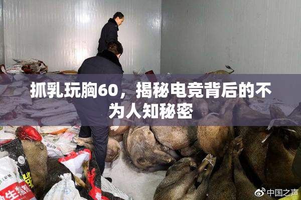 抓乳玩胸60，揭秘电竞背后的不为人知秘密