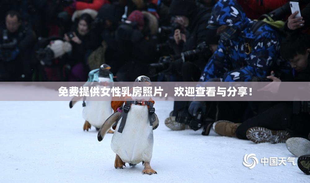 免费提供女性乳房照片，欢迎查看与分享！