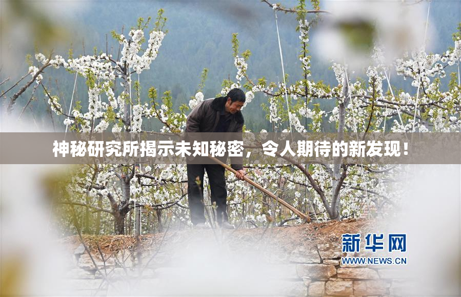 神秘研究所揭示未知秘密，令人期待的新发现！
