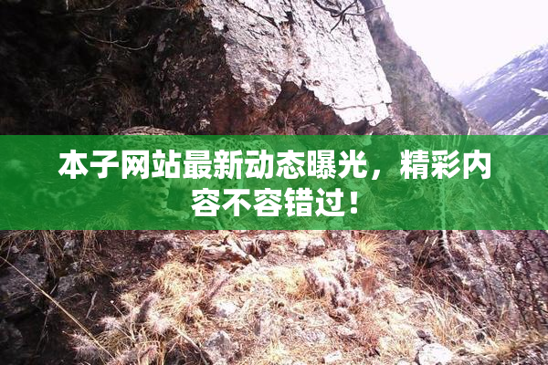 本子网站最新动态曝光，精彩内容不容错过！