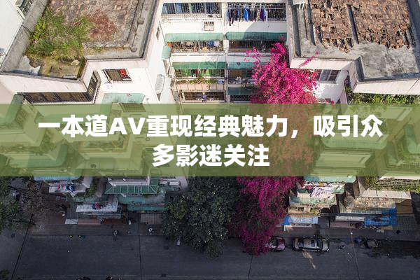 一本道AV重现经典魅力，吸引众多影迷关注