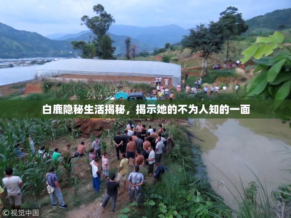 白鹿隐秘生活揭秘，揭示她的不为人知的一面