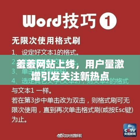 羞羞网站上线，用户量激增引发关注新热点