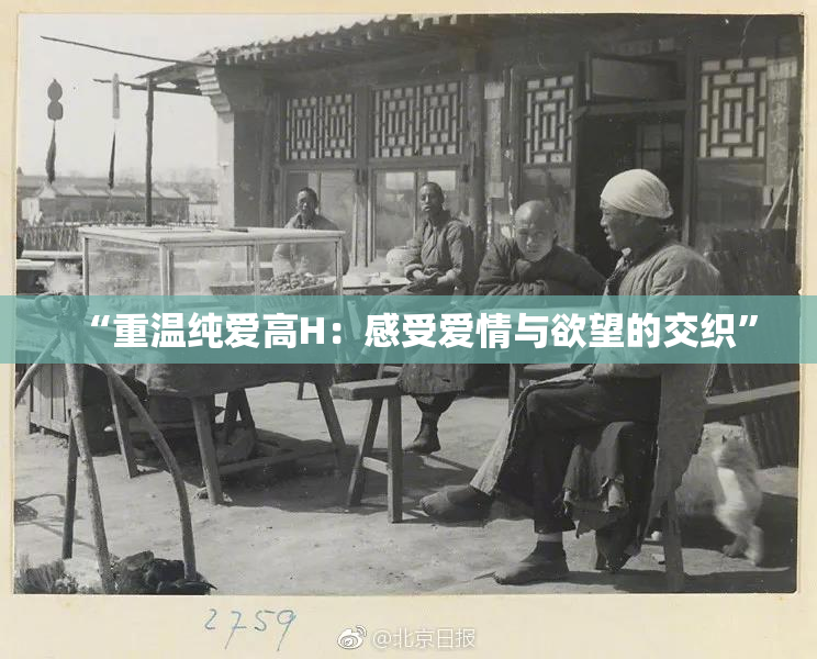 “重温纯爱高H：感受爱情与欲望的交织”