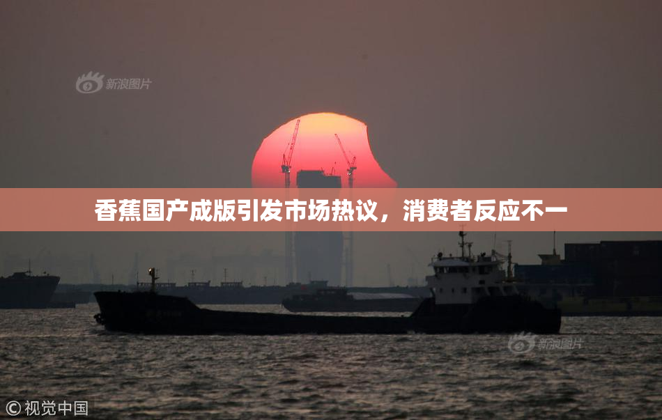 香蕉国产成版引发市场热议，消费者反应不一