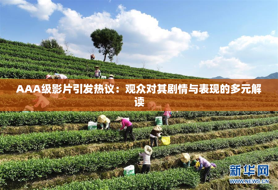 AAA级影片引发热议：观众对其剧情与表现的多元解读