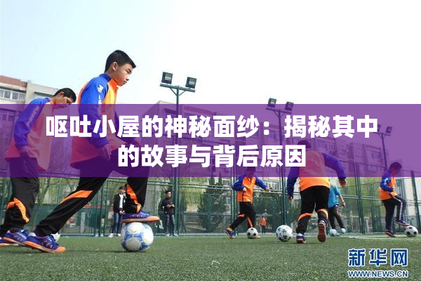 呕吐小屋的神秘面纱：揭秘其中的故事与背后原因