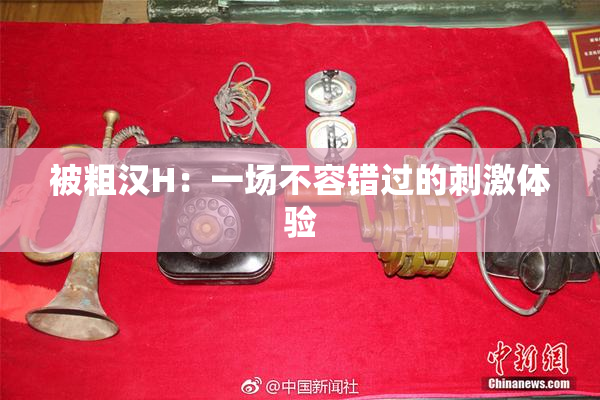 被粗汉H：一场不容错过的刺激体验