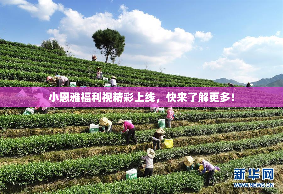 小恩雅福利视精彩上线，快来了解更多！