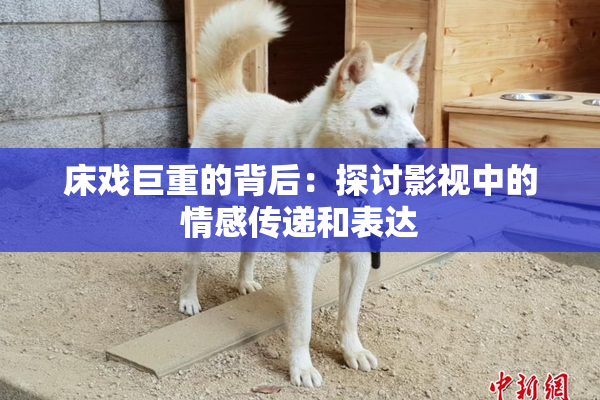 床戏巨重的背后：探讨影视中的情感传递和表达