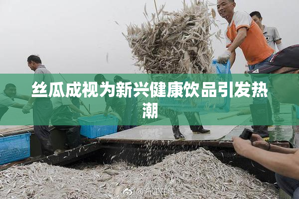 丝瓜成视为新兴健康饮品引发热潮