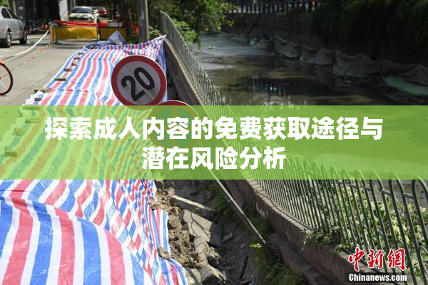 探索成人内容的免费获取途径与潜在风险分析