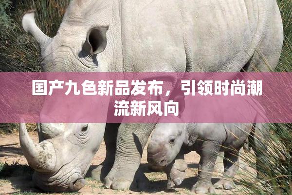 国产九色新品发布，引领时尚潮流新风向
