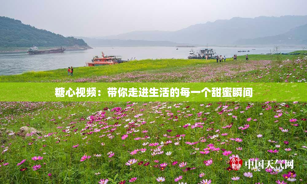 糖心视频：带你走进生活的每一个甜蜜瞬间