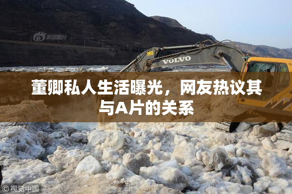 董卿私人生活曝光，网友热议其与A片的关系