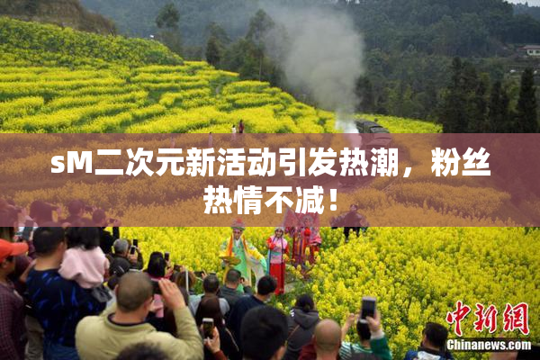 sM二次元新活动引发热潮，粉丝热情不减！