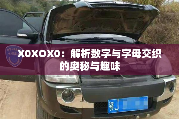 X0XOX0：解析数字与字母交织的奥秘与趣味
