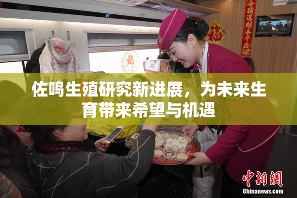 佐鸣生殖研究新进展，为未来生育带来希望与机遇