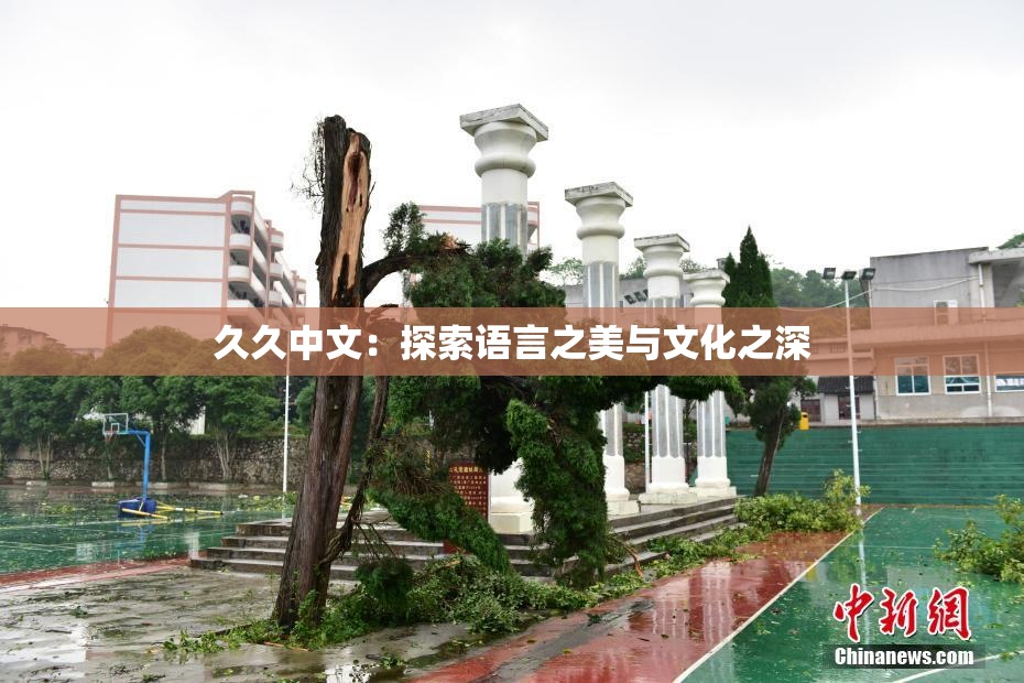 久久中文：探索语言之美与文化之深