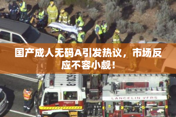 国产成人无码A引发热议，市场反应不容小觑！