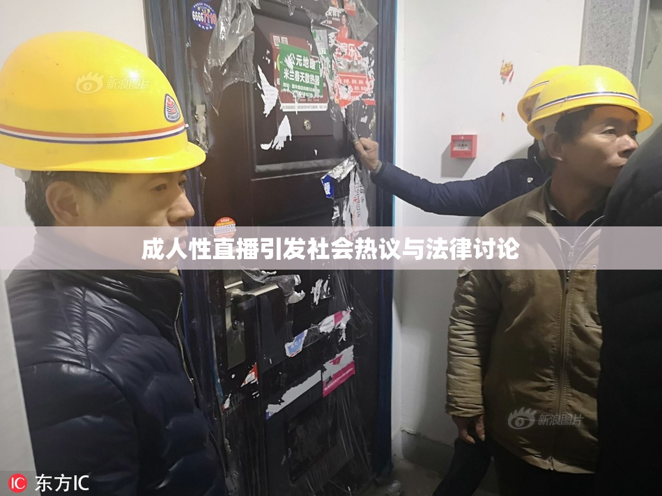 成人性直播引发社会热议与法律讨论