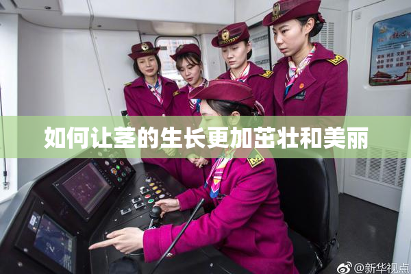 如何让茎的生长更加茁壮和美丽