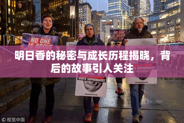 明日香的秘密与成长历程揭晓，背后的故事引人关注