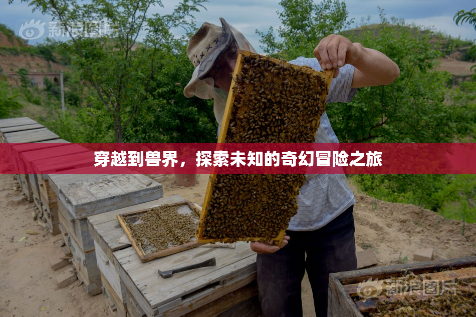 穿越到兽界，探索未知的奇幻冒险之旅