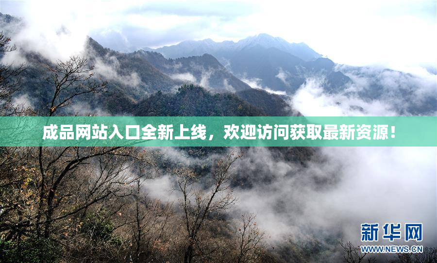 成品网站入口全新上线，欢迎访问获取最新资源！