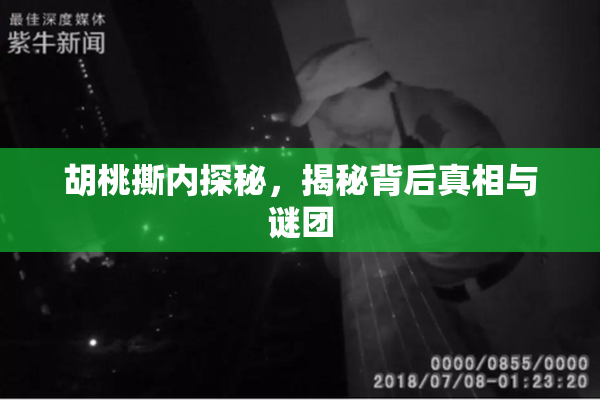 胡桃撕内探秘，揭秘背后真相与谜团