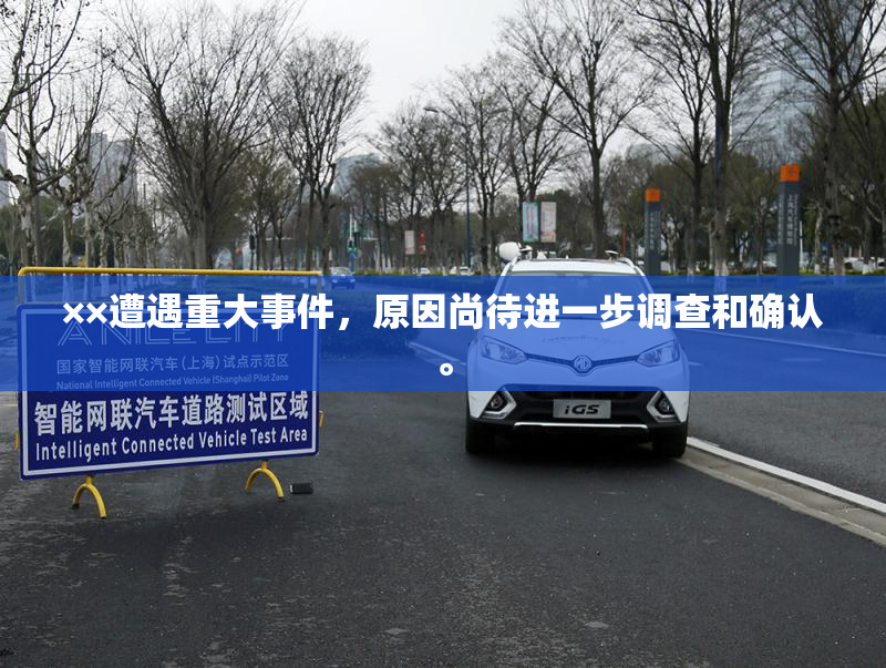 ××遭遇重大事件，原因尚待进一步调查和确认。