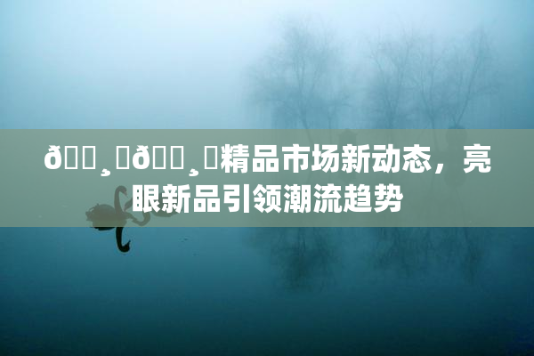 🌸‌🌸‌精品市场新动态，亮眼新品引领潮流趋势