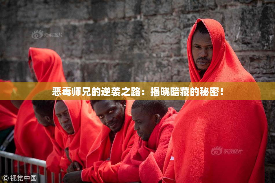 恶毒师兄的逆袭之路：揭晓暗藏的秘密！