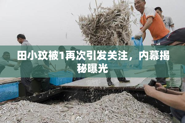 田小玟被1再次引发关注，内幕揭秘曝光