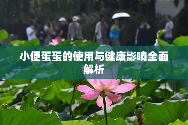 小便蛋蛋的使用与健康影响全面解析