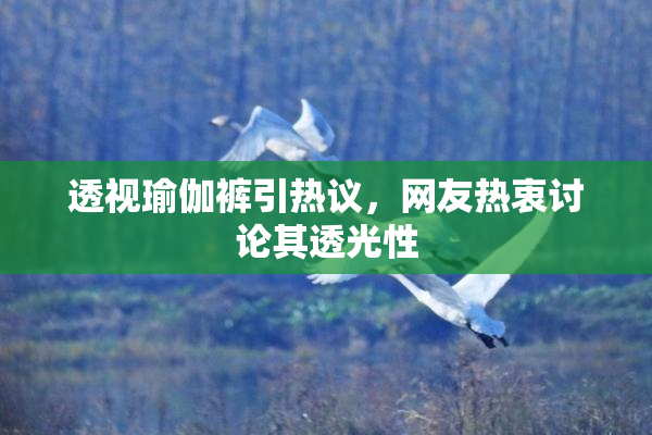 透视瑜伽裤引热议，网友热衷讨论其透光性