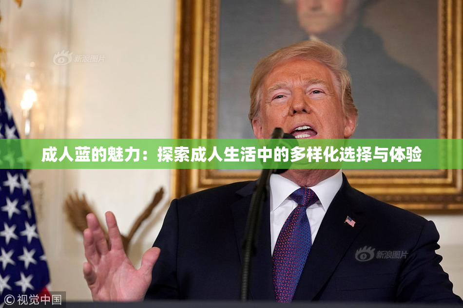 成人蓝的魅力：探索成人生活中的多样化选择与体验