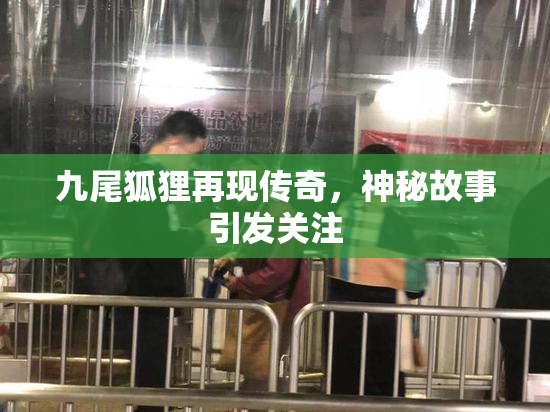 九尾狐狸再现传奇，神秘故事引发关注