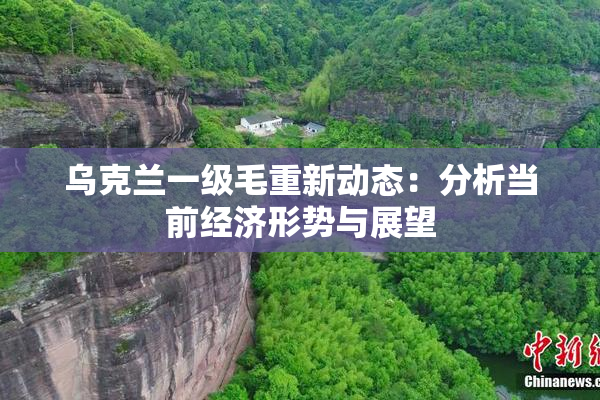 乌克兰一级毛重新动态：分析当前经济形势与展望