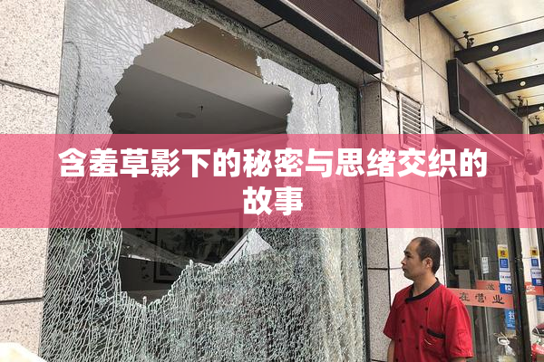 含羞草影下的秘密与思绪交织的故事