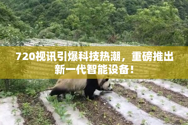 720视讯引爆科技热潮，重磅推出新一代智能设备！
